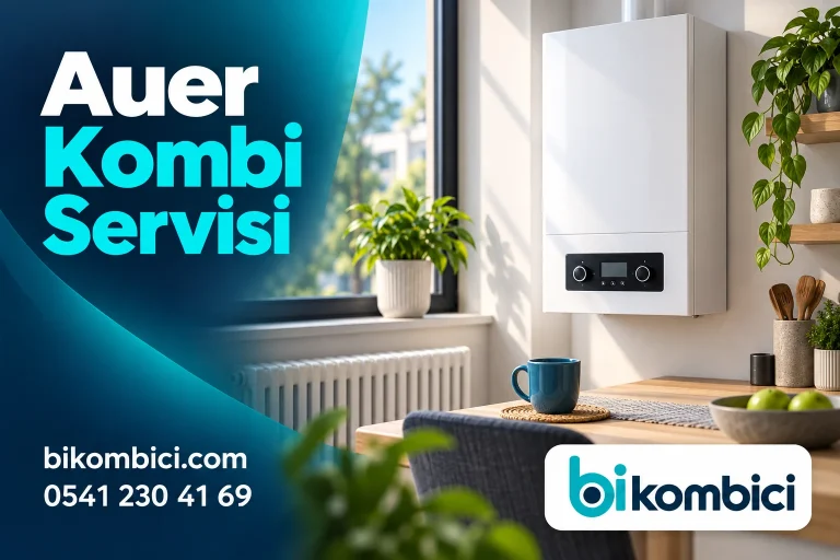Auer Kombi Servisi konusunu anlatan temsili ısıtma sistemi görseli